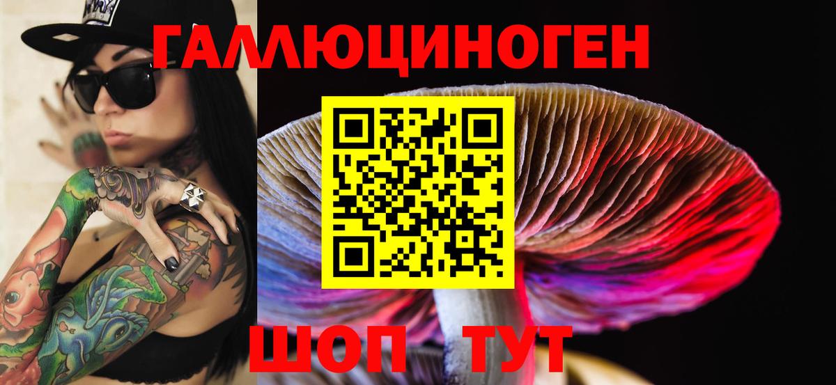 Псилоцибиновые грибы Psilocybine cubensis  Галлюциногенные грибы мицелий  хочу   Нововоронеж  Вход с VPN 