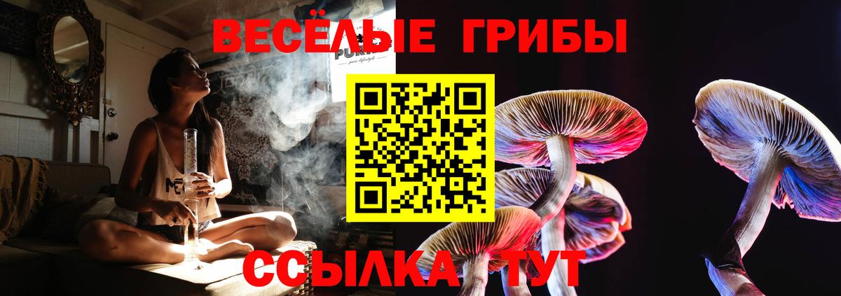 Псилоцибиновые грибы Magic Shrooms Нововоронеж